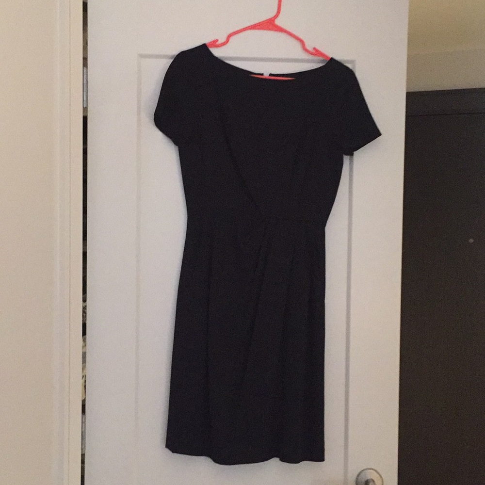 Beautiful Theory work dress. Timeless.